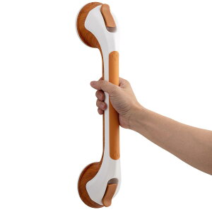 TAILI 肷 ͋z 肷 zՃV[ C hAnh hAmu   gC oX ֎萠   q ]| \h hV̓ sv tȒP ؖڐF