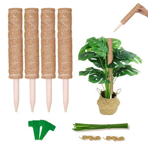 HEDONLEE | Ax 4{Zbg wSx AT|[g Xe  鐫 ϗtA  {ێ K[fjOx Ԏx(4)