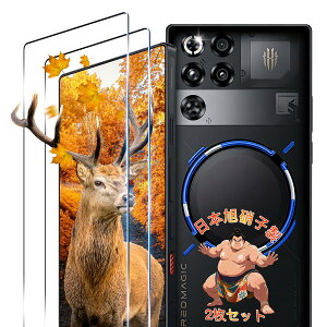 �y2���Z�b�g�z �p RedMagic 11 Pro/11 Pro+ �K���X�t�B���� �t�B���� 2�� ���b�h�}�W�b�N 11 pro �ی�t�B���� �J�o�[ �y ���{�Ɏq�f�� 9H���x �z �Ή� RedMagic 10 Pro+ ��ʕی�t�B���� �����K���X �P�[�X