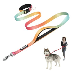 TSPRO nYt[p[h ߉\ȎUEjOp SRg[pbhnht dNXv ^`^p (IWbhVAOf[V,L)