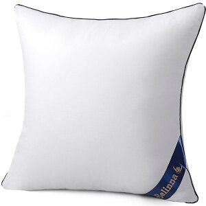 Belinna NbV 40x40cmĩTCYjw cushion { w \t@[NbV k[hNbV֎q g ې􂢉\ 