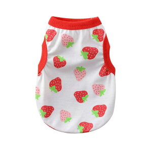 RIOSTUDIO  ̕ tėp ėp Ȑp^[vg^Ngbv   ybgEFA hbOEFA ybg TVc m[X[u o| L 񂱗p ɂ񂱗p i×b