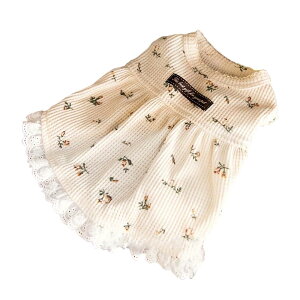 DICOCO  s[X  Lm ^ 100% ̕ L hX ybgEFA ԕfUC ʋC GǍD Č ` gCv[h _bNXth ~j`Ap  