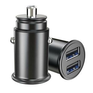 LOYELEY シガーソケット 充電器 1個 USB 2ポート 4.8A 24W 12V/24Vに対応 カーチャージャー スマホ急速充電 for iPhone iPad Xperia Samsung Galaxyなと対応