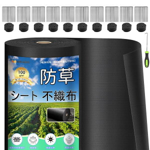 hV[g  ϋv 1×100M V[gh sDz V[gCe[v Gh~V[gŒs100{ƍ100t ƒ؉ _ Hp |p lHŉ ubN