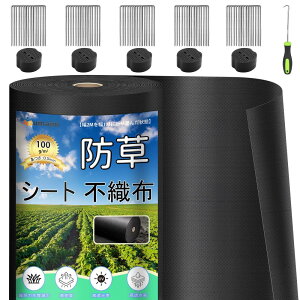 hV[g  ϋv 1×50M V[gh sDz V[gCe[v Gh~V[gŒs50{ƍ50t ƒ؉ _ Hp |p lHŉ ubN