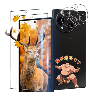 【2+2枚セット 指紋認証対応】 ガイド枠付き 用 AQUOS R10 ガラスフィルム 2枚 AQUOS R9 SH-51F フィルム + 2枚 カメラ保護 【 日本旭硝子製 9H強度 】 対応 アクオス R10 強化ガラス 全面 保護フィルム