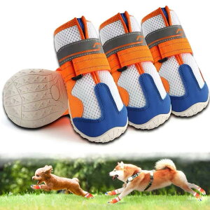 uSENMUUPvC pu[c hbOV[Y tėp yʒʋC bV RۖhL z 2dXgbv ₷ Eɂ ی ~ ϋvS U J̓ h  