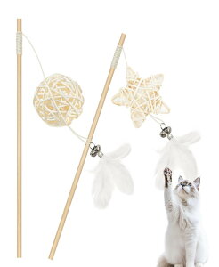 HOLYCAT L 炵 L  Zp^N[ i`^{[ H t ȓVR ^ 2_Zbg  v ˂炵 lV OȂ VR i` ɗD