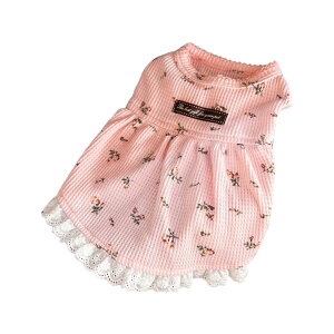 DICOCO  s[X  Lm ^ 100% ̕ L hX ybgEFA ԕfUC ʋC GǍD Č ` gCv[h _bNXth ~j`Ap  