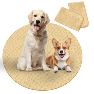 Para Sora 􂦂 ybgV[c ی^ L p 2Zbg(a90cm) ~ h ybgV[c p`ybgT[NɍœK z L V[c ld\ Rh~  JԂgp