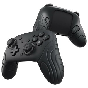 PlayVital Switch2 ProΉ VRObvJo[ ~ߎdl XCb`2vRΉwʃ{^&TXeBbNLbvXebJ[t-TCo[W yubNz