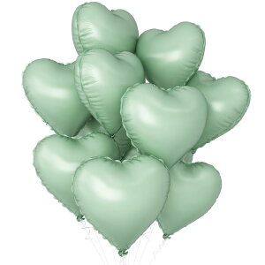 BTZO D o[ n[g^ 10Zbg A~D A\[g 18C` t o^C  v |[Y a  p[eB[ Xܑ tC I[uO[