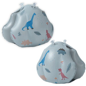 CHENLONB  A[ O XC~O ⏕ r qp 25 KGȉKp C C  v[ j  gѕ֗ jKp (O[)