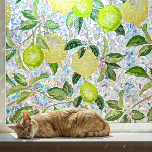 Qualsen KXډBtB  ډBV[g KXtB œ\Ă͂ ptB O猩Ȃ UVJbg Uh~( 44.3x200cm)