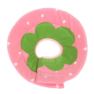 DollionGUxXJ[ L  pPA rߖh~ _炩 z y ʋCی ^pLp? (, M)