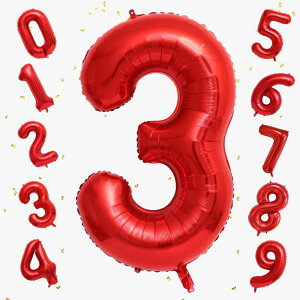 GOPATYo[ 傫 40C` 100cm io[A~D at LO o[Xf[p[eB[ j l  w (3, bh)