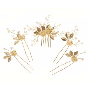 DFsucces p[  wbhhX Us wAs 񂴂 a Be  EFfBO p[eB[ ԉłȂǂ̔p 5Zbg (S[hB)