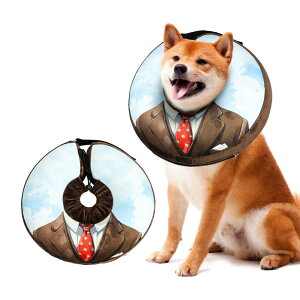 SuplutuX GUxXJ[  J[ L փ^Cv  \tg y  ߉\ p p̃PA ~ rߖh~ ^ ^ ^ ybgpi (uE, M)