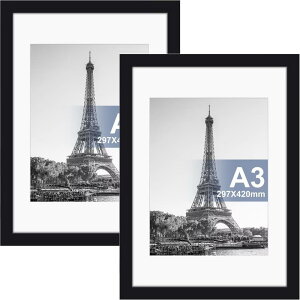 Raoendis a3 z 2Zbg Ǌ| tHgt[ yʊz |X^[t[ cuEu\ ubN yTCY29.7x42cmz