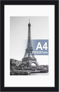 Raoendis a4 z 1Zbg Ǌ| tHgt[ yʊz |X^[t[ cuEu\ ubN yTCY29.7x21cmz