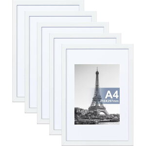 Raoendis a4 z 5Zbg Ǌ| tHgt[ yʊz |X^[t[ cuEu\ zCgyTCY29.7x21cmz