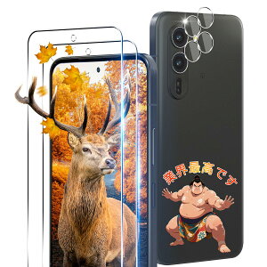 p Arrows Alpha F-51F KXtB 2 A [Y Alpha F-51F tB + 2 JیtBZb y2+2Zbg {Ɏq 9Hx z Ή F-51F KX S یtB P[X 