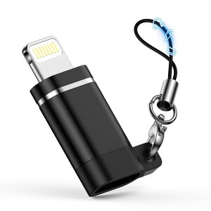 Type C to ���C�g�j���O �ϊ� �A�_�v�^ GAEF �y20 25�V�o��zUSB C iPhone �ϊ��R�l�N�^�[ �C���z�� �ϊ� 4in1 ���@�\ �}���[�d/�����]��/OTG/�I�[�f�B�I ���y�E���ʒ��ߑΉ� ������ �y�ʏ��^ �X�g���b�v