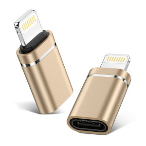 GAEF Type C to ���C�g�j���O �ϊ��A�_�v�^ (2�Z�b�g) 10w�}���[�d& �f�[�^�]�� �m�\�`�b�v���� �^�C�vC����iOS�ϊ��R�l�N�^ �A���~�����O�� USB-C iPhone �ϊ��R�l�N�^ �[�d��p �yOTG�@�\&�C���z��