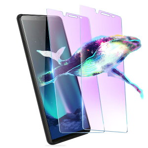 �y �u���[���C�g�J�b�g�z Xperia10 II �p �K���X�t�B���� �u���[���C�g �G�N�X�y���A10ii �p �t�B���� SOV43 SO-41A �����K���X �ی�t�B���� �y�����ߗ�/�C�A�[��/�����Ȃ�/�\��t���ȒP/�w��h�~