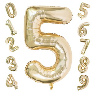 GOPATYo[ 傫 40C` 100cm io[A~D at LO o[Xf[p[eB[ j l  w (5, y[S[h)