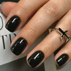 [ALLEVG]lC`bv 24 t V[g  lC 킢 Vv    lC`bv ~ ʃe[v EbhXeBbN l w Ǝ p[eB[ ł܂ lC