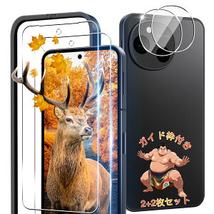 �y 2+2���Z�b�g �K�C�h�g�t�� �z�p AQUOS sense10 �K���X�t�B���� 2�� �A�N�I�X�Z���X10 SH-53F �t�B���� + 2�� �J�����ی�t�B���� �y ���{���Ɏq�� 10H���x �w��F�ؑΉ� �z �Ή� sense10 �ی�t�B���� 