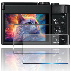 �Ή� LUMIX TZ99 �K���X�t�B���� 2���Z�b�g ��̌^�����Y�ی�t�B���� �Ή� Panasonic LUMIX DC-TZ99 �J�����t�B���� �ی�t�B���� �ϏՌ� �h���� �����ߗ� �I�o�I�[�o�[�h�~ �������� �w��h�~ �A���`