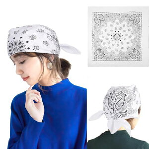 [Annhua]o_iLbvYĊCo_i唻54cmx54cmRbgʋCAEghAjZbNXzCg