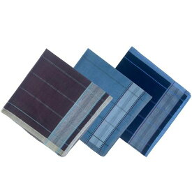 [DsHome]ハンカチメンズコットン42x42cm3枚セット紳士用ビジネスハンカチ吸水速乾薄手通勤用綿100%