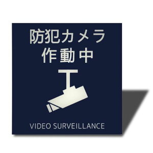 Seagron防犯カメラ作動中(イラスト型)サインプレート両面テープ付きステッカー2mmアクリル製おしゃれ耐水耐候(ブルー100x100mm(1枚))