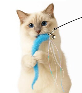 HOLYCATL炵LCV`L炵lCLlVїt˂SgLL˂炵ނƃXgX^sΉϋvj[NfUCybgc