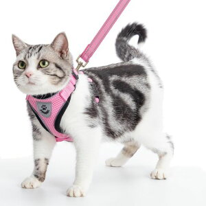 PUPTECKLn[lX[hZbgLpn[lXL[vLpփybgpilCꃊ[htԔ˒߉\EȒPȂʋCbVyʑϋvSKoc