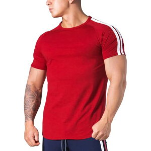 [OROLN]WtVcXgb`אgg[jOEFAVctBbglX؃gX|[cꃁY(bh(^Cg^Cv)-3XL)