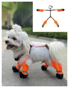 HomiePettiepbOJo[pTXy_[u[cԔfތpu[cpV[YCV[Yppc~ߖh⏕XgbvtveN^[ی쉘h~c