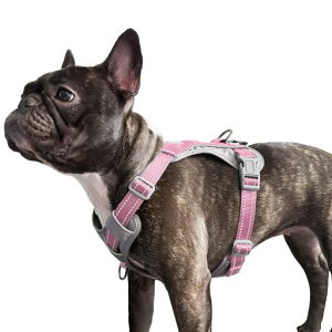 Huntboon[lX^^^߉\h~Ԕ2̃[hNbvtPݖh~ʋCϋvUs⏕pČHc(sNM)