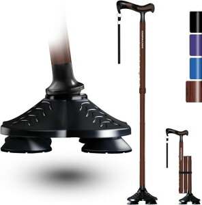 KingPavonini4{܂ݒjpyʕs⏕XebL8iKߐ܂肽ݏlԍHwnhhV̓v[g(N~)