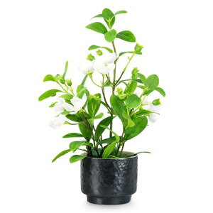 lHϗtALERۃ~jtFCNO[psvԃCeAG݂MtgΉ̓̓v[gt