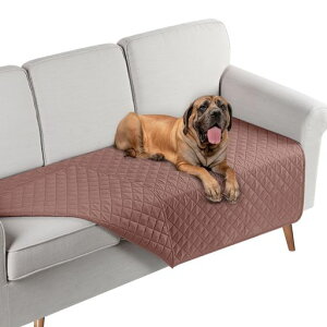 TAOCOCO\t@pbh\t@Jo[\t@[V[g}`Jo[xbhJo[ho[VuL΍єsShoh~h~܂Ƃh~rh~lGKpHې􂢉\xbc