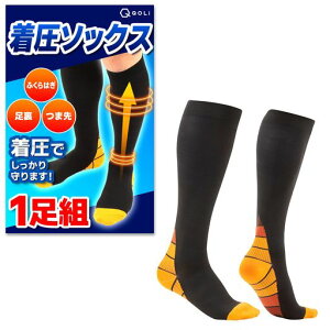 y𐮑̎tďCz\bNXCӂ͂T|[^[یiKjOWMOTCNOAEghARvbV\JJgYfB[XUVJbg