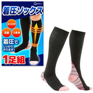 y𐮑̎tďCz\bNXCӂ͂T|[^[یiKjOWMOTCNOAEghARvbV\JJgYfB[XUVJbg