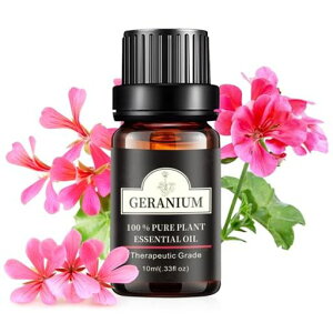 Poven[jEGbZVICVR100%[jEi`A}ICA}fBt[U[p10mlGeraniumEssentialOil