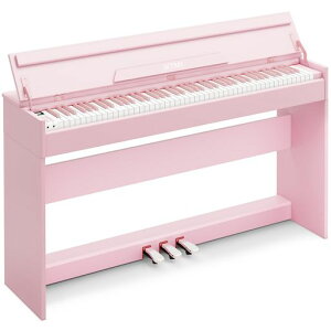 IKTMIؐdqsAm88ՃsAm88AbvCgsAmX^ȟ^DigitalPianoy_tMIDIΉqSҗKpsN