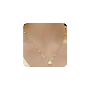 [Mesaro]lbNXfB[Xy_gXNGAlp`ubNS[hAM[XeXVvXeXANZT[igؚlCp[eB[f[g̓c